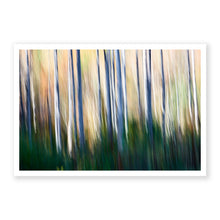 Load image into Gallery viewer, Appalachian Fall 6