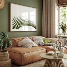 Load image into Gallery viewer, Sago Palm 4