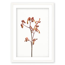 Load image into Gallery viewer, Kangaroo Foot