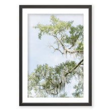 Load image into Gallery viewer, Borderline