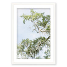 Load image into Gallery viewer, Borderline