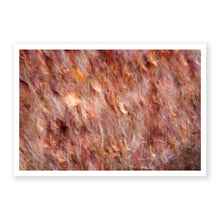 Load image into Gallery viewer, Appalachian Fall 7