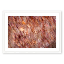 Load image into Gallery viewer, Appalachian Fall 7