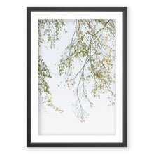 Load image into Gallery viewer, Transition