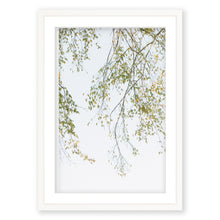 Load image into Gallery viewer, Transition