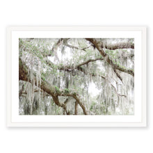 Load image into Gallery viewer, Spanish Moss 2