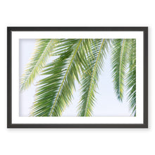 Load image into Gallery viewer, Palm No. 10