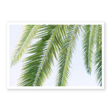 Load image into Gallery viewer, Palm No. 10