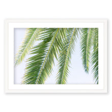 Load image into Gallery viewer, Palm No. 10