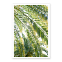 Load image into Gallery viewer, Palm No. 2