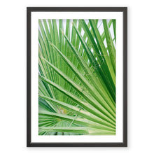 Load image into Gallery viewer, Palm No. 6