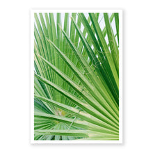 Load image into Gallery viewer, Palm No. 6