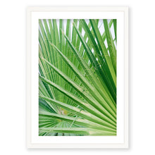 Load image into Gallery viewer, Palm No. 6