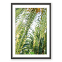 Load image into Gallery viewer, Palm No. 7