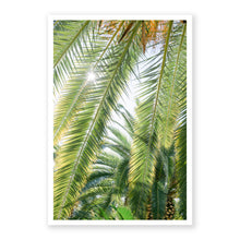 Load image into Gallery viewer, Palm No. 7
