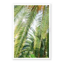 Load image into Gallery viewer, Palm No. 7