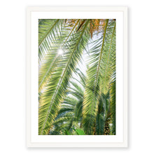 Load image into Gallery viewer, Palm No. 7