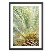 Load image into Gallery viewer, Palm No. 8