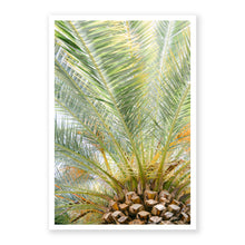 Load image into Gallery viewer, Palm No. 8