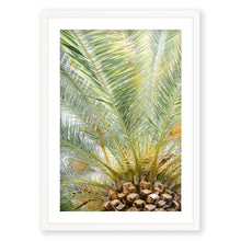 Load image into Gallery viewer, Palm No. 8