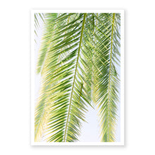 Load image into Gallery viewer, Palm No. 1