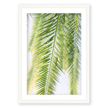 Load image into Gallery viewer, Palm No. 1