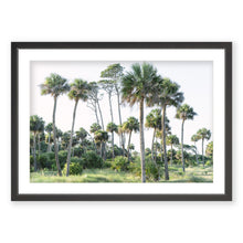 Load image into Gallery viewer, Palm No. 9