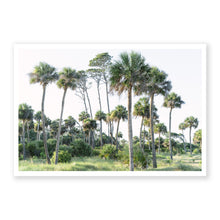 Load image into Gallery viewer, Palm No. 9