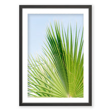 Load image into Gallery viewer, Palm No. 4