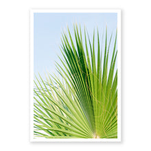 Load image into Gallery viewer, Palm No. 4