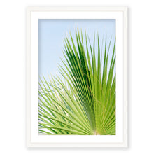 Load image into Gallery viewer, Palm No. 4