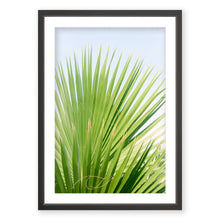 Load image into Gallery viewer, Palm No. 5