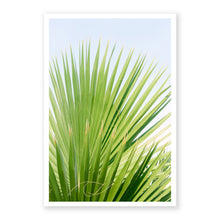 Load image into Gallery viewer, Palm No. 5