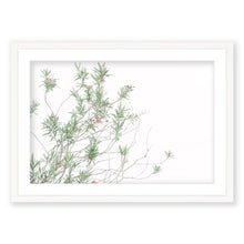 Load image into Gallery viewer, Oleanders