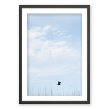 Load image into Gallery viewer, Red-winged Blackbird
