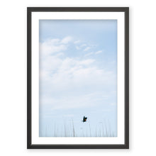 Load image into Gallery viewer, Red-winged Blackbird