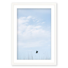 Load image into Gallery viewer, Red-winged Blackbird