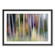 Load image into Gallery viewer, Appalachian Fall 10