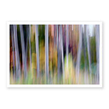 Load image into Gallery viewer, Appalachian Fall 10