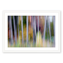 Load image into Gallery viewer, Appalachian Fall 10
