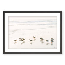 Load image into Gallery viewer, Shorebirds