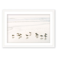 Load image into Gallery viewer, Shorebirds
