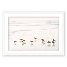 Load image into Gallery viewer, Shorebirds