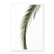 Load image into Gallery viewer, Sago Palm 5
