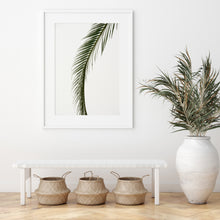 Load image into Gallery viewer, Sago Palm 5