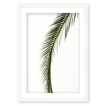 Load image into Gallery viewer, Sago Palm 5
