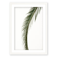 Load image into Gallery viewer, Sago Palm 5