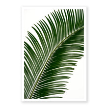 Load image into Gallery viewer, Sago Palm 1