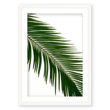 Load image into Gallery viewer, Sago Palm 3