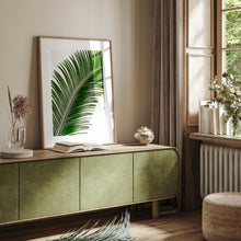 Load image into Gallery viewer, Sago Palm 1